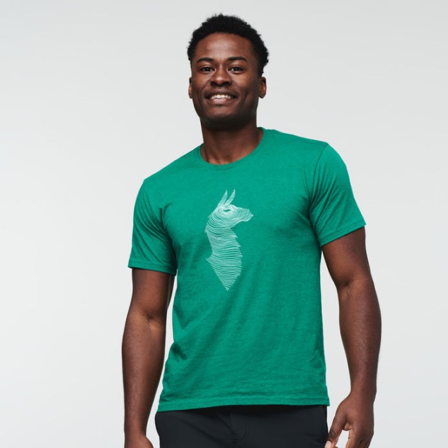 Green Fashion Cotopaxi Mol Lama T-shirt Heren
