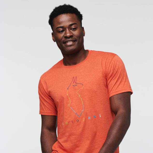 Electric Llama T-shirt Heren Canyon Cotopaxi Origin